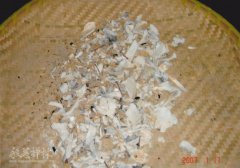 2007�����ʦ��ݱ�������