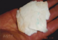 2007�����ʦ��������